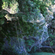 Illustration for article titled Thousands of Spiders Have Teamed Up to Create This Horrifying Mega-Web